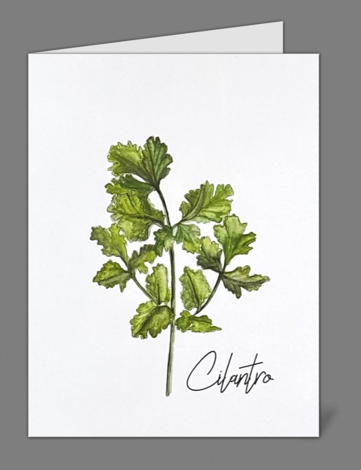 "Cilantro" Notecards (set of 10)