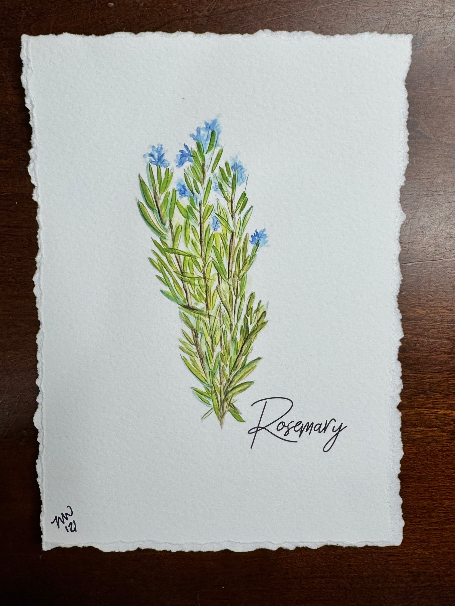 "Rosemary" watercolor 5x7 print (torn edges)