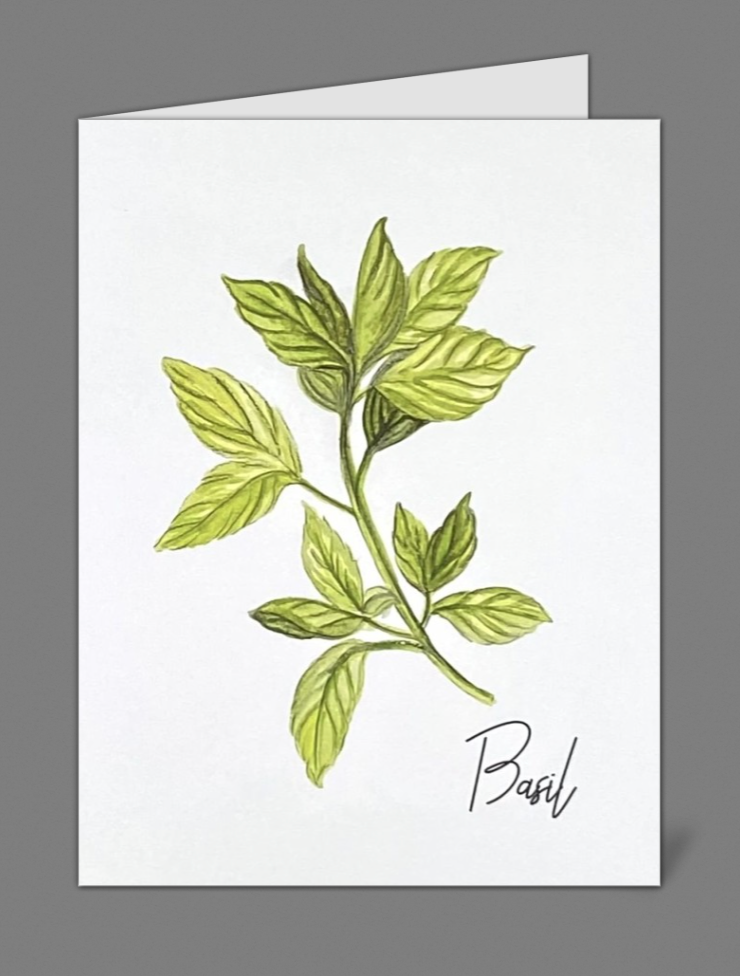 "Basil" Notecards (set of 10)