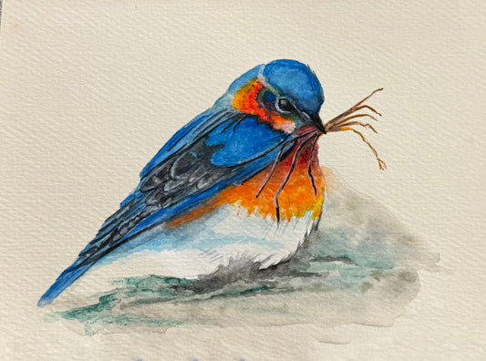 "Bluebird Nesting" Signed Watercolor Print by Mickie West