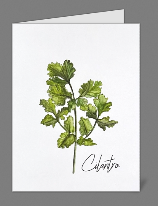 "Cilantro" Notecards (set of 10)