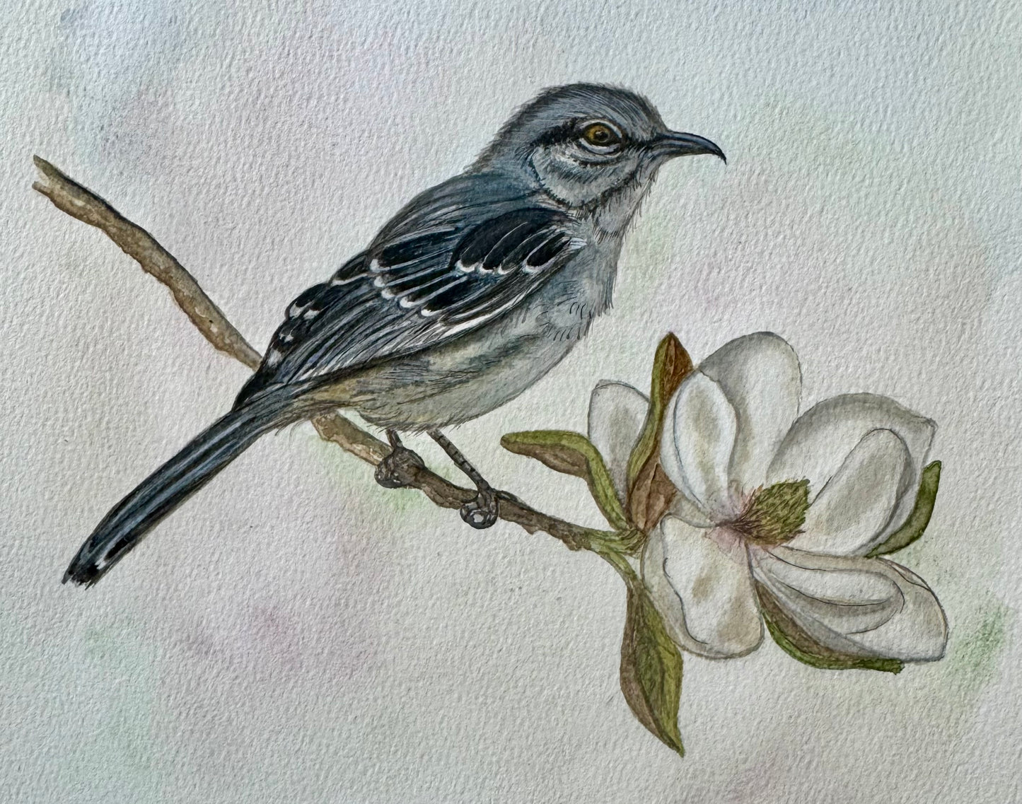 "Songbird of the South" Signed Watercolor Print by Mickie West